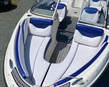 Blue and White boat with grey gator step